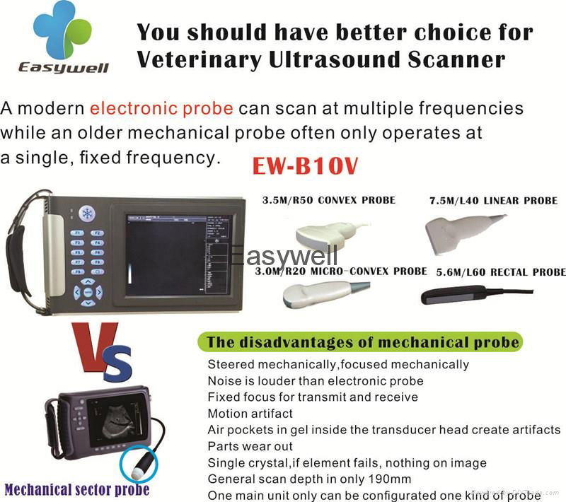 Veterinary ultrasound scanner EW-B10V with convex for reproductive tract and dia 4