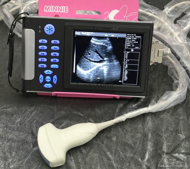 Veterinary ultrasound scanner EW-B10V with convex for reproductive tract and dia 5
