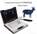 Ultrasound scanner veterinary reproductive color doppler EW-C8V with rectal prob 3