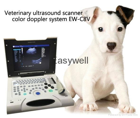 Portable Color Veterinary Ultrasound images EW-C8V with Micro-Convex probe C3.5R 2