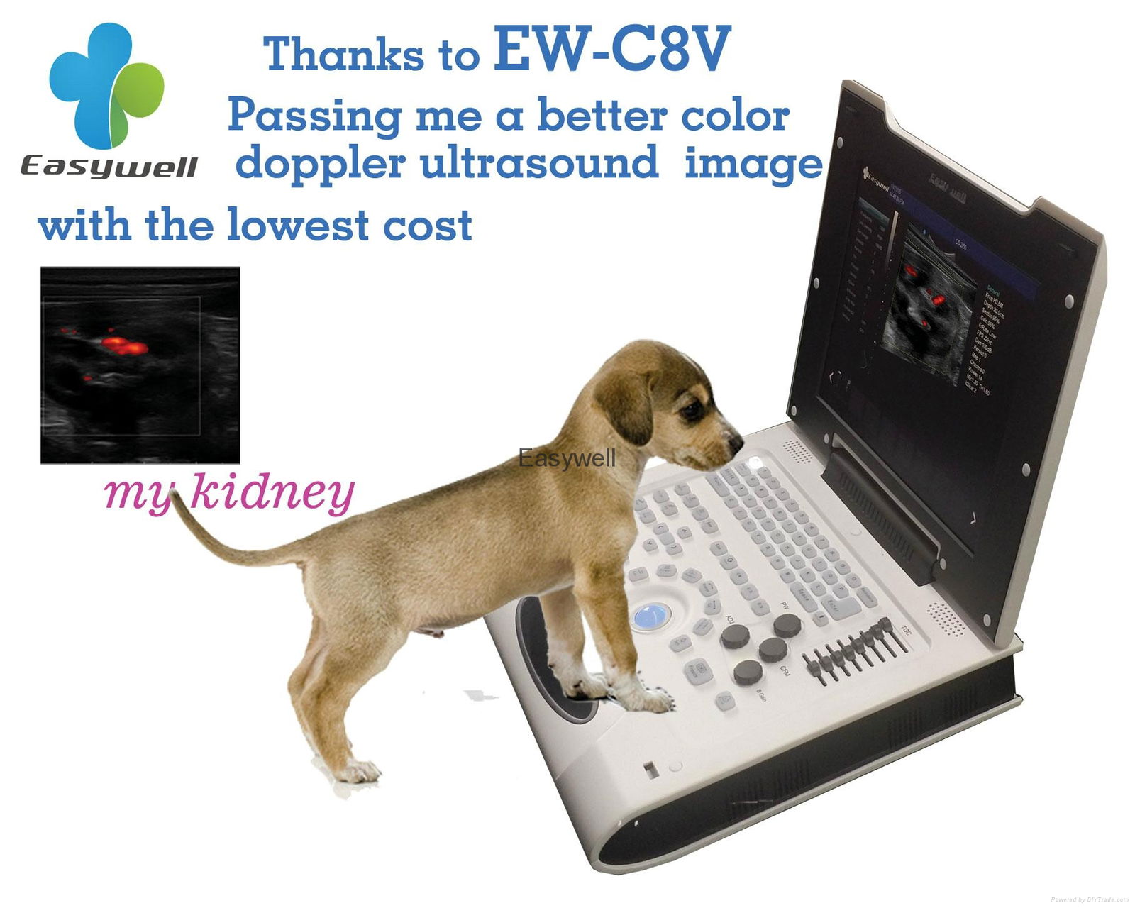 Portable Color Veterinary Ultrasound images EW-C8V with Micro-Convex probe C3.5R 5