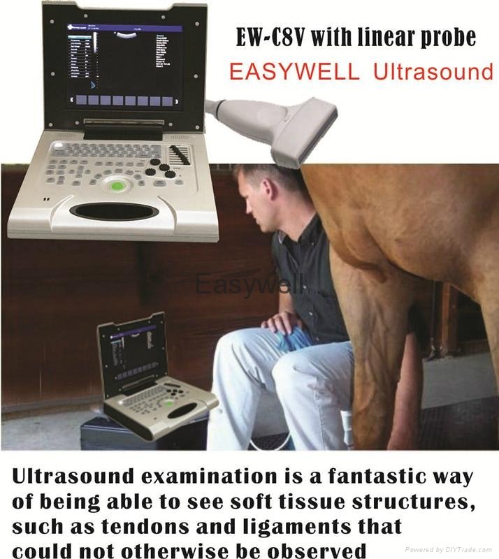 Affordable Color Veterinary Ultrasound System EW-C8V with Linear probe L7L40  4