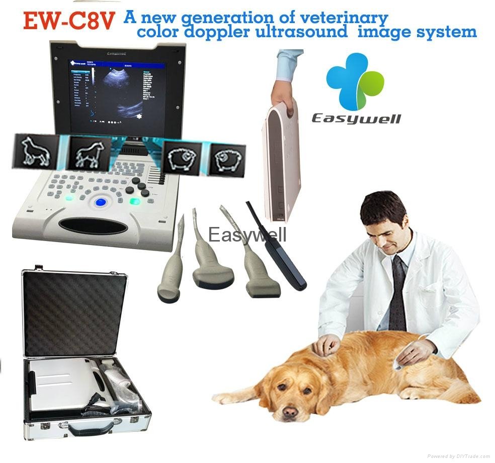  Laptop Veterinary Ultrasound Scanner Color Doppler Ew-C8V with Convex Probe  4
