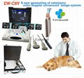  Laptop Veterinary Ultrasound Scanner Color Doppler Ew-C8V with Convex Probe  4