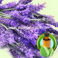 100% Pure Lavender Essential Oil  1