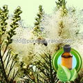 100% Pure Tea Tree Essential Oil