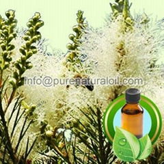 100% Pure Tea Tree Essential Oil