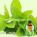 100% Pure Peppermint Essential Oil