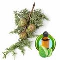 100% Pure Cypress Essential Oil
