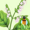 100% Pure Patchouli Essential Oil