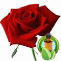 100% Pure Rose Essential Oil