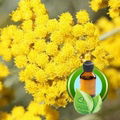 100% Pure Helichrysum Essential Oil 1