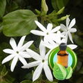 100% Pure Jasmine Essential Oil