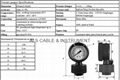 Oil Filled 2.5 Inch PP Diaphragm Pressure Gauge