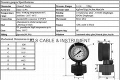 Oil Filled 2.5 Inch PP Diaphragm Pressure Gauge