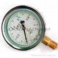 Stainless Steel Shake Resistant Pressure Gauge 1