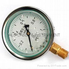 Stainless Steel Shake Resistant Pressure Gauge