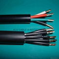 Control Cable with PVC Insulation and