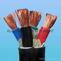 Submersible Motor Cable 1