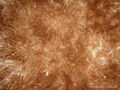 polyester shaggy carpet 4