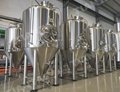 7 bbl Conical Jacketed Double Wall Beer fermenter 3