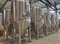 1000L Direct Fire heated stainless steel brewery equipment 5