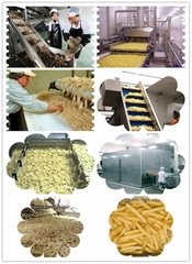 Large Scale Frozen French Fries Production Line