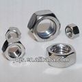 DIN934 Hex Nuts Galvanized 1