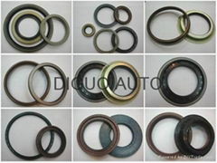 DIGUO  oil seal-auto spare parts