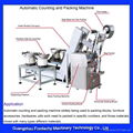 Guangzhou high precise automatic Screw counting and packing machine 1