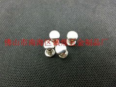 Special Rivet from China Factory