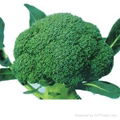 Sulforaphane Broccolli Seed Extract 2