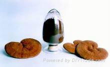 Ganoderma Polysaccharides  Ganoderma Lucidum Extract