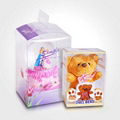 Transparent Plastic Gift Box 2