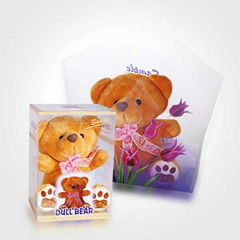 Transparent Plastic Gift Box