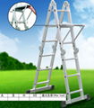 ladder