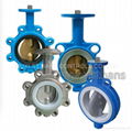 C series butterfly valve 1