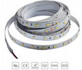 SMD 5050 Led Strip Light