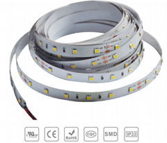 SMD5050 Led Strip Light 60LED 