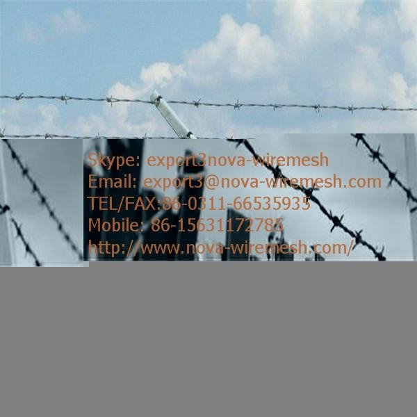 Barbed Wire Fence  for sale 5