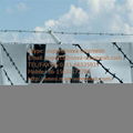 Barbed Wire Fence  for sale 5
