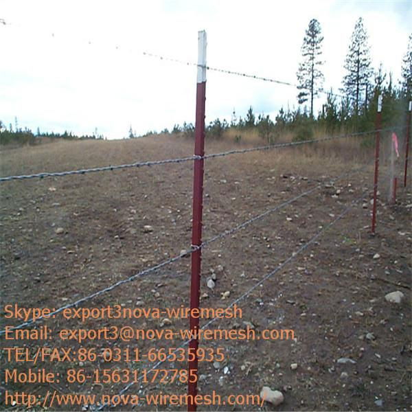 Barbed Wire Fence  for sale 2