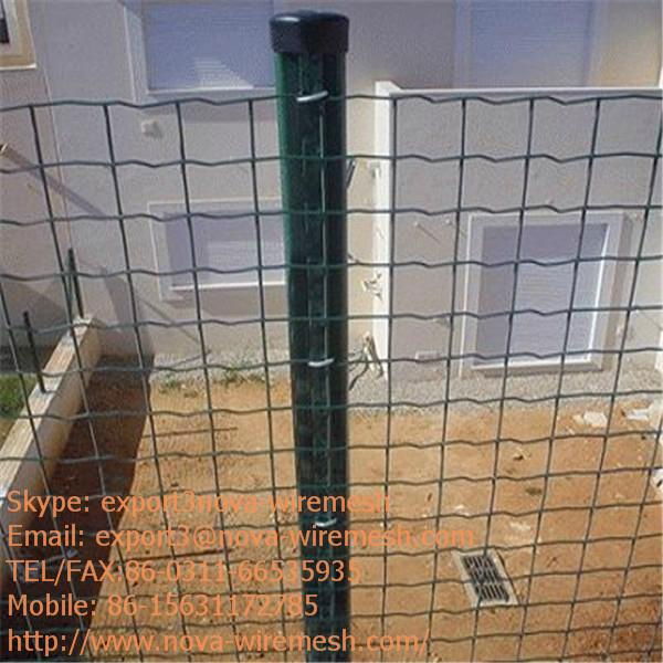 Dutch mesh fence for sale 4