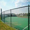 Extruded vinyl chain link fence  for sale 3