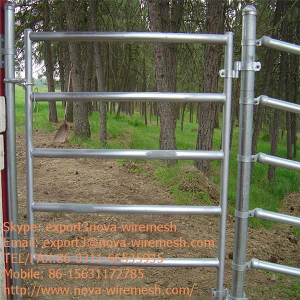 Galvanized fence/PVC coated fence/Powder coated fence for sale