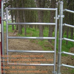 Galvanized fence/PVC coated fence/Powder