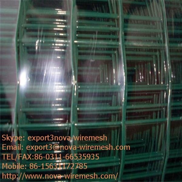 Holland wire mesh for sale 5