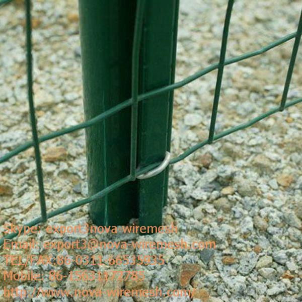 Holland wire mesh for sale 4