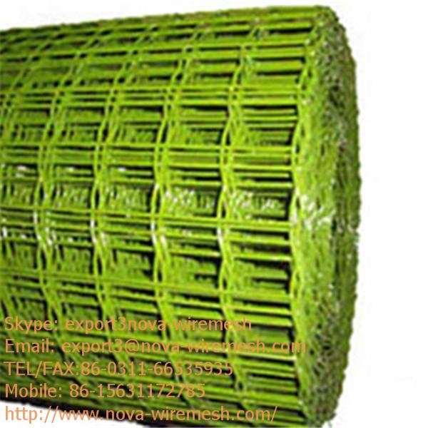 Holland wire mesh for sale 3