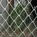 Chain link fence 1